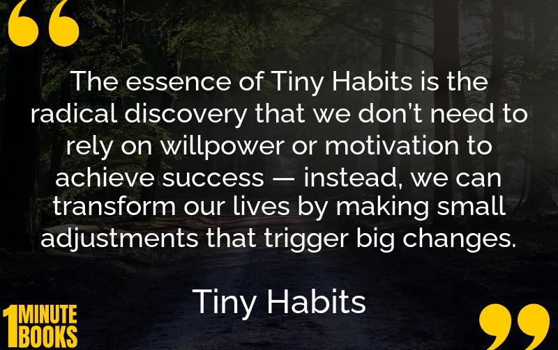 Tiny Habits Summary Brief Summary