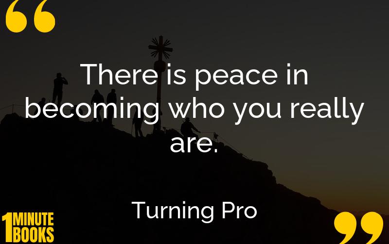 Turning Pro Summary Brief Summary