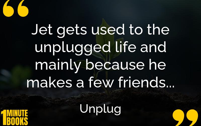 Unplug Summary Brief Summary