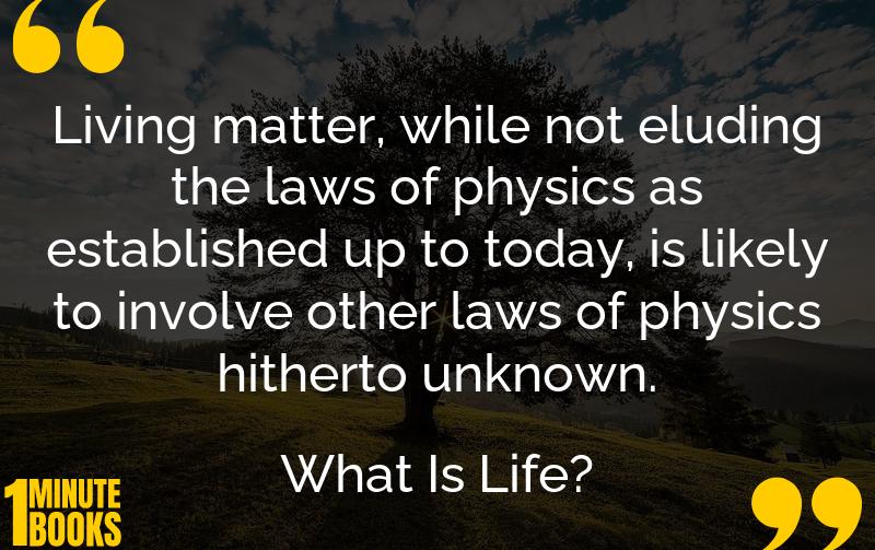 What Is Life? Summary Brief Summary
