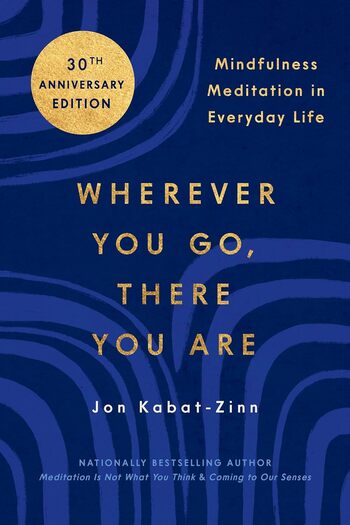 Wherever You Go, There You Are Summary Key Points