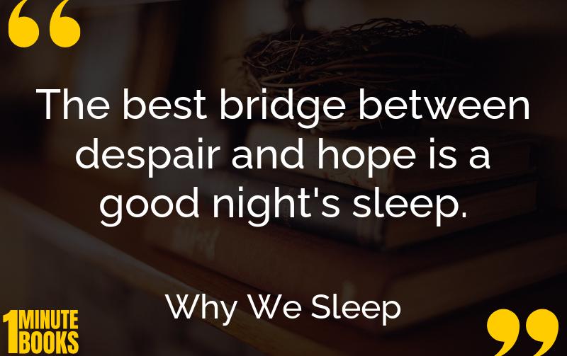 Why We Sleep Summary Brief Summary